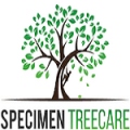 specimentreecare